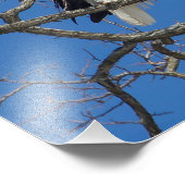 ハゲワシの手入れ フォトプリント            (角)