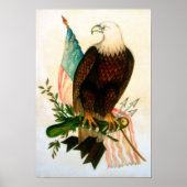 ハゲワシの旗 ポスター (正面)