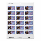 ハゲワシの星とストライプ愛国的テーマラベ ラベル (フルシート)