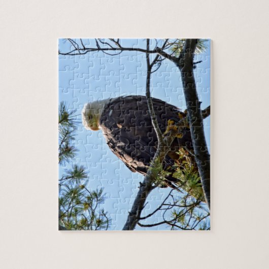 ハゲワシの止まり木 - 8x10 - 110 個。 ジグソーパズル (縦)