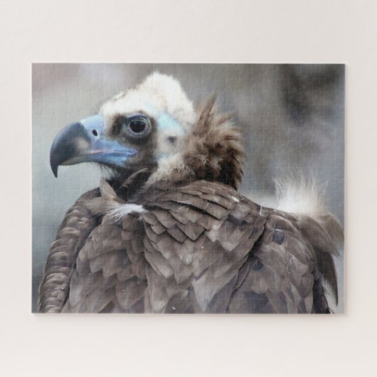 ハゲワシの猛禽。 ジグソーパズル (横)