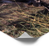 ハゲワシの真ん中のハイエナ ポスター (角)