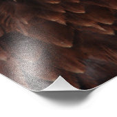 ハゲワシの絶叫 フォトプリント            (角)