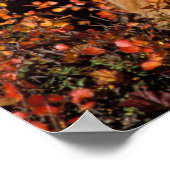 ハゲワシの赤い狐 ポスター (角)