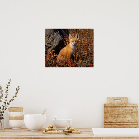 ハゲワシの赤い狐 ポスター (キッチン)