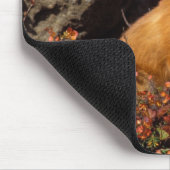 ハゲワシの赤い狐 マウスパッド (コーナー)