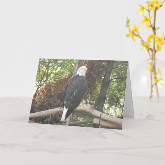 ハゲワシの追悼カード カード (黄色い花)