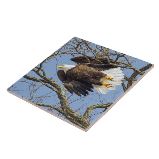 ハゲワシの閃光 タイル (側面)