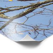 ハゲワシの閃光 フォトプリント            (角)