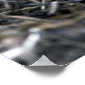 ハゲワシの雛 ポスター (角)