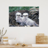 ハゲワシの雛 ポスター (キッチン)