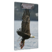 ハゲワシの魚の回収 クリップボード (右)