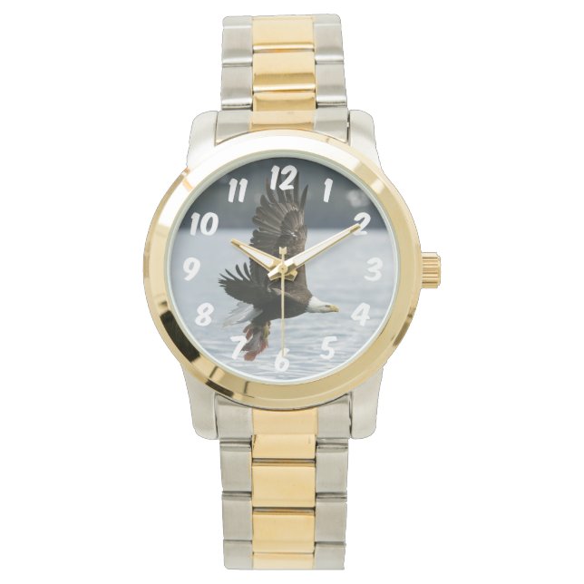 ハゲワシの魚の回収 腕時計 (正面)