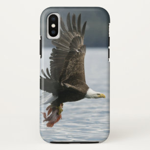ハゲワシの魚の回収 iPhone XSケース