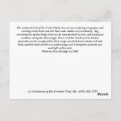 ハゲワシはがき ポストカード (裏面)