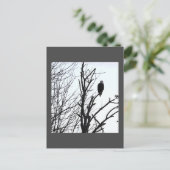 ハゲワシはがき ポストカード (スタンド正面)