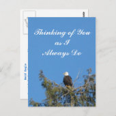 ハゲワシはがき ポストカード (正面/裏面)