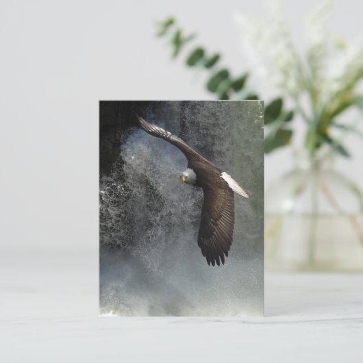 ハゲワシはがき ポストカード (スタンド正面)