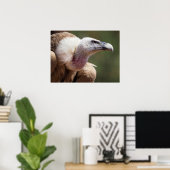 ハゲワシポートレート ポスター (ホームオフィス)