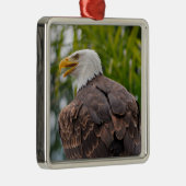 ハゲワシポートレート メタルオーナメント (右)