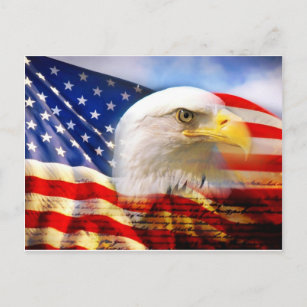 ハゲワシ付きアメリカ国旗 ポストカード