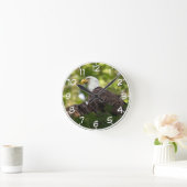 ハゲワシ休ストップ養 ラウンド壁時計 (ホーム)