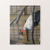 ハゲワシ写真 ジグソーパズル (縦)