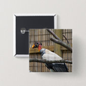 ハゲワシ写真 缶バッジ (正面&裏面)