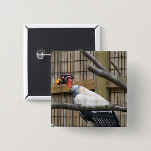 ハゲワシ写真 缶バッジ (正面&裏面)