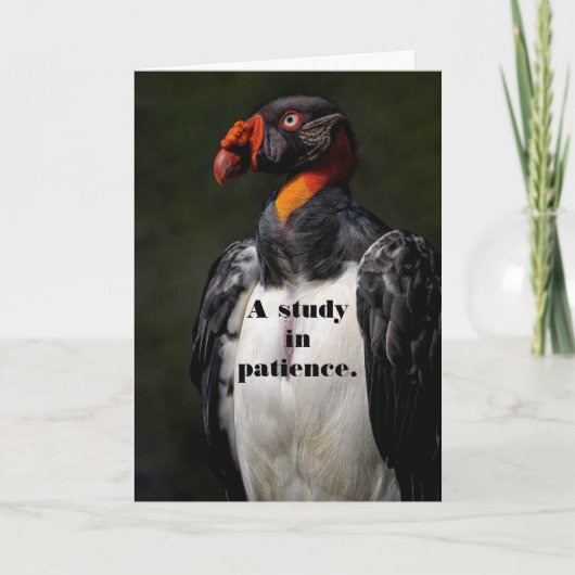 ハゲワシ忍耐誕生日カード サンキューカード (正面)