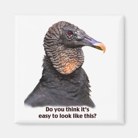 ハゲワシ磁石 マグネット (正面)