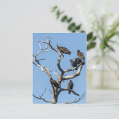 ハゲワシ科の木 ポストカード (スタンド正面)