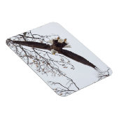 ハゲワシ翼スプレッド マグネット (右側)