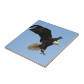 ハゲワシ野生動物タイル タイル (側面)