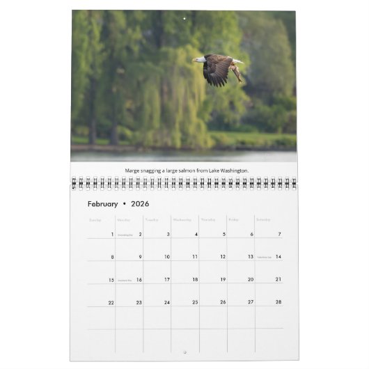 ハゲワシ野生動物写真 カレンダー (2月 2026)
