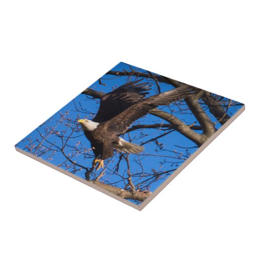 ハゲワシ離陸 タイル (側面)