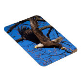 ハゲワシ離陸 マグネット (右側)