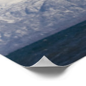 ハゲワシ飛行中，ハリファータス白頭症， 3 ポスター (角)