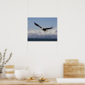 ハゲワシ飛行中，ハリファータス白頭症， 3 ポスター (キッチン)