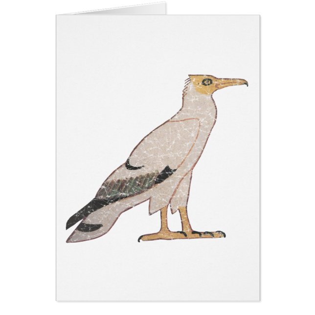 ハゲワシ (正面)