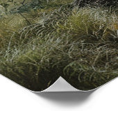 ハゲワシ1 ポスター (角)