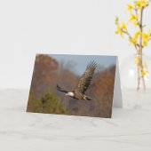 ハゲワシ6 カード (黄色い花)