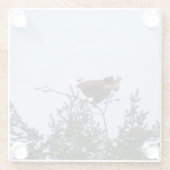 ハゲワシ ガラスコースター (裏面)