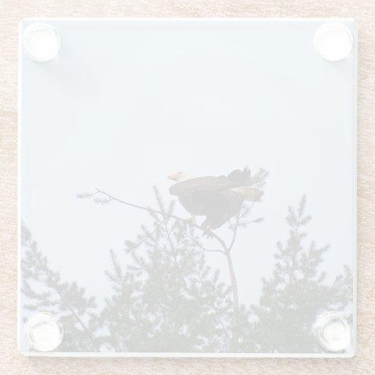 ハゲワシ ガラスコースター (裏面)