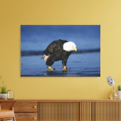 ハゲワシ キャンバスプリント (インサイチュ (リビング))