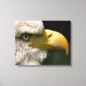 ハゲワシ キャンバスプリント (正面)