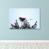 ハゲワシ キャンバスプリント (インサイチュ (ウッドフロア))