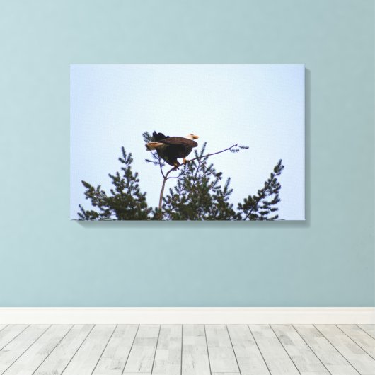 ハゲワシ キャンバスプリント (インサイチュ (ウッドフロア))