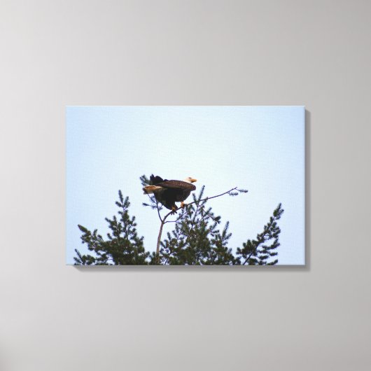 ハゲワシ キャンバスプリント (正面)