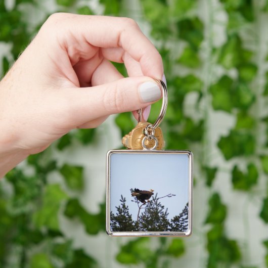 ハゲワシ キーホルダー (手)